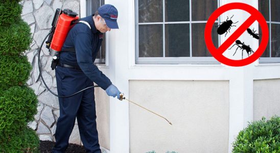Hozat Kemirgen İlaçlama böcek ilaçlama ve haşere kontrolü — ilaclama-tr.com